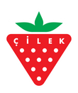 Cilek Albania