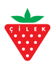 Cilek Albania