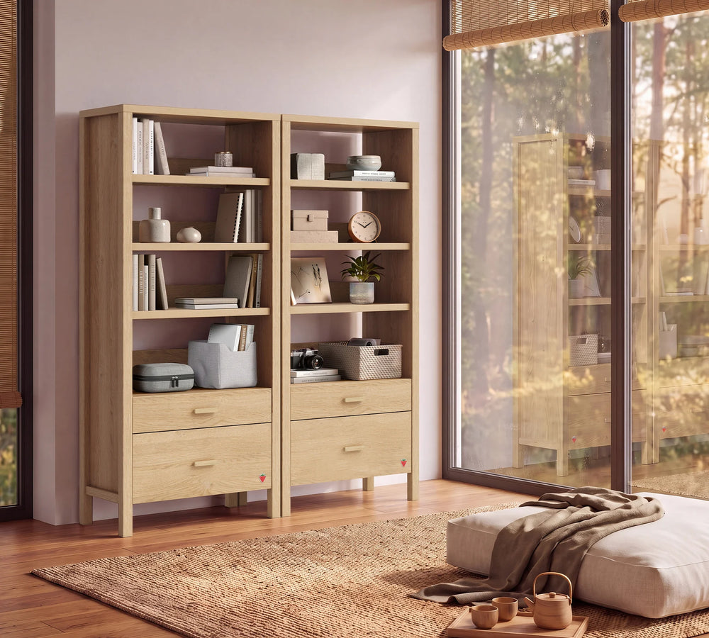 Mizu librari