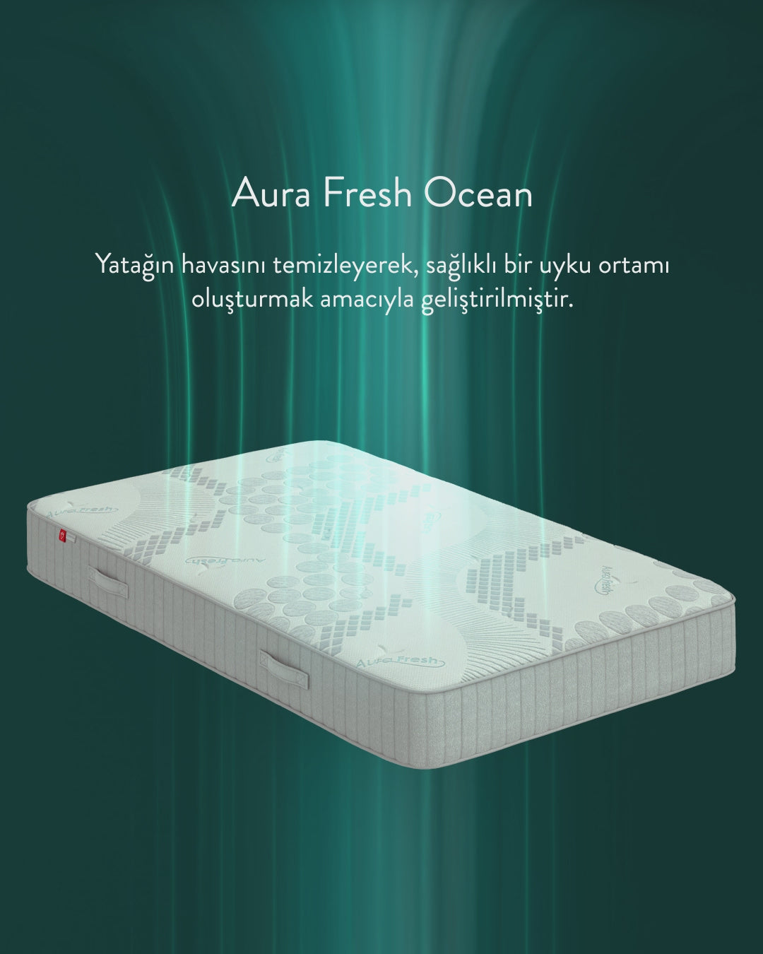 Dyshek Tek dhe Trecereksh - Bamboo+